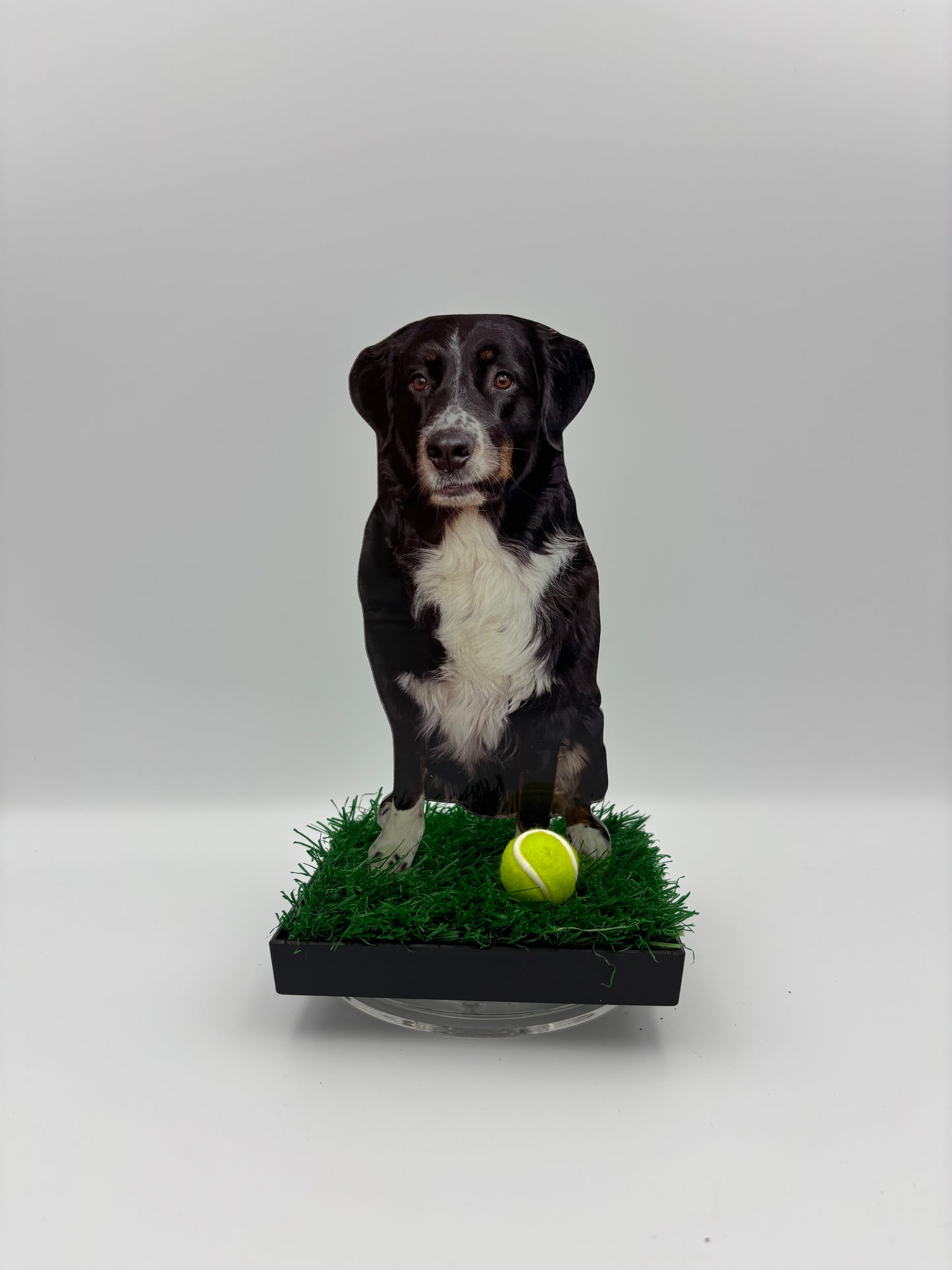 WinZig Pets