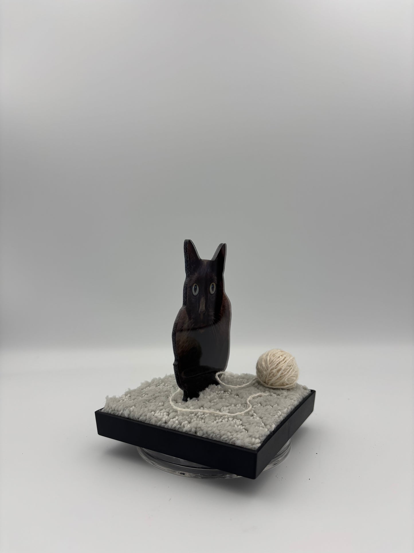 WinZig Pets