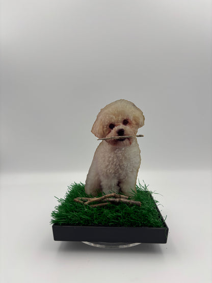WinZig Pets